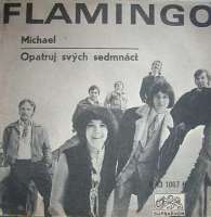 Flamingo - Michael / Opatruj svých sedmnáct - SP