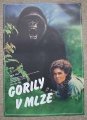 anonym - Gorily v mlze - plakát A3