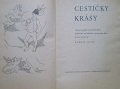 LUK Rudolf - CESTIKY KRSY (1945)