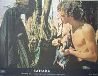 Sahara - fotoska